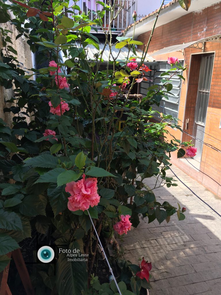 Casa: 4 cômodos c/ 2 banheiros em condomínio de 06 casas – Vila Bela Casa: 4 cômodos c/ 2 banheiros em condomínio de 06 casas – Vila Bela